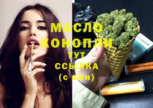 индика Заволжск