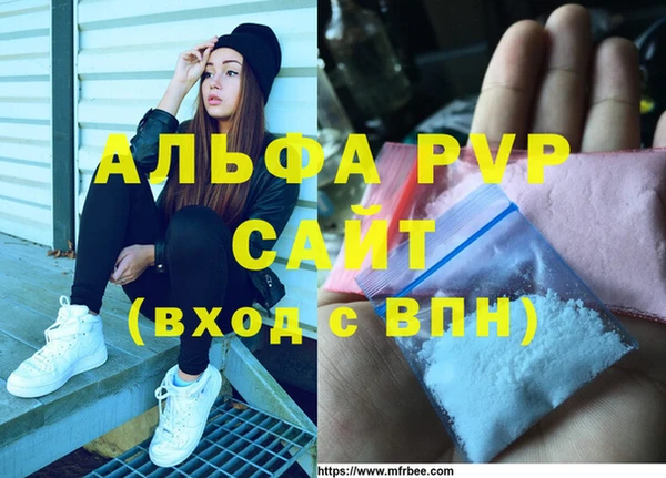 индика Заволжск