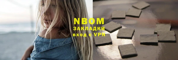 индика Заволжск