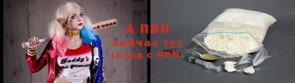 индика Заволжск