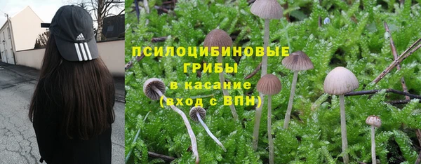 эйфоретик Заводоуковск