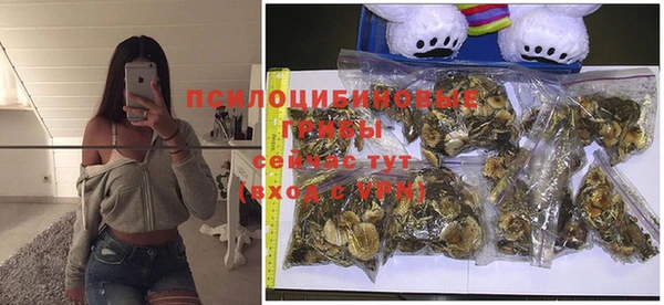 эйфоретик Заводоуковск