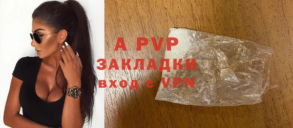 индика Заволжск