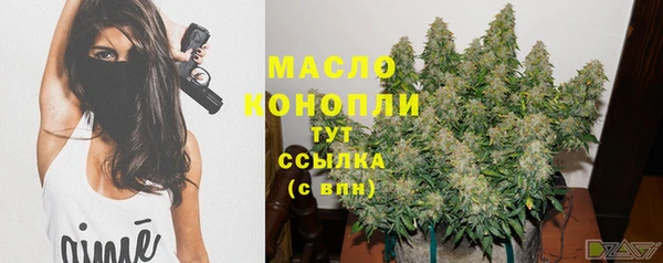 индика Заволжск